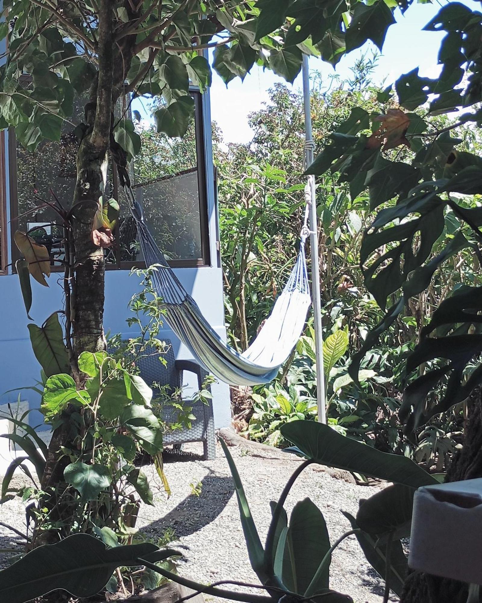 Monteverde Cecropia Paradise חדר תמונה