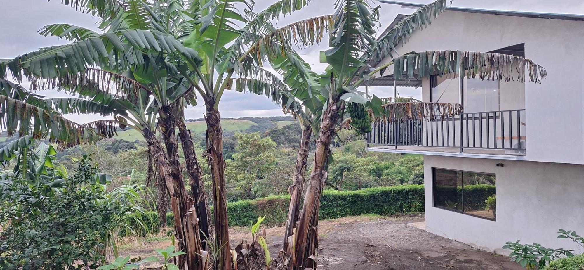 Monteverde Cecropia Paradise חדר תמונה