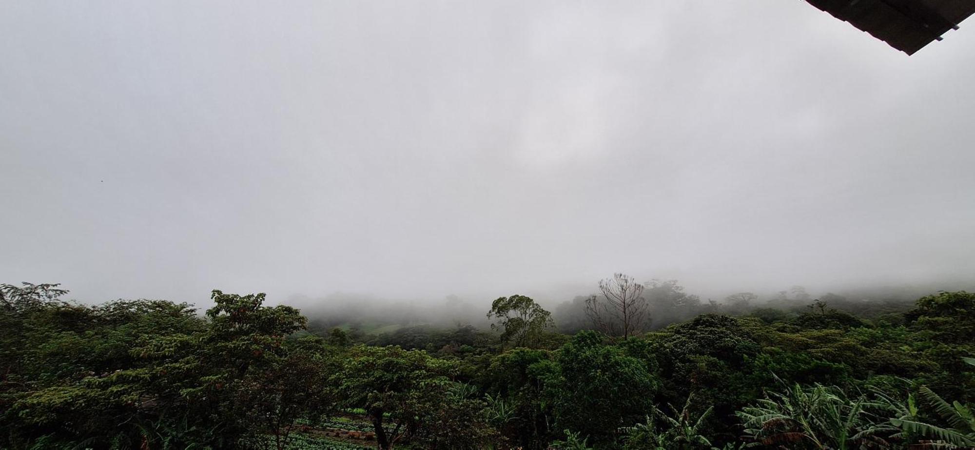 Monteverde Cecropia Paradise חדר תמונה