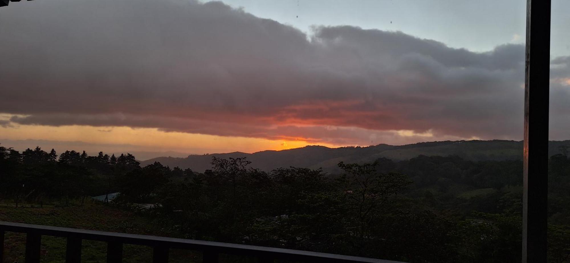Monteverde Cecropia Paradise חדר תמונה