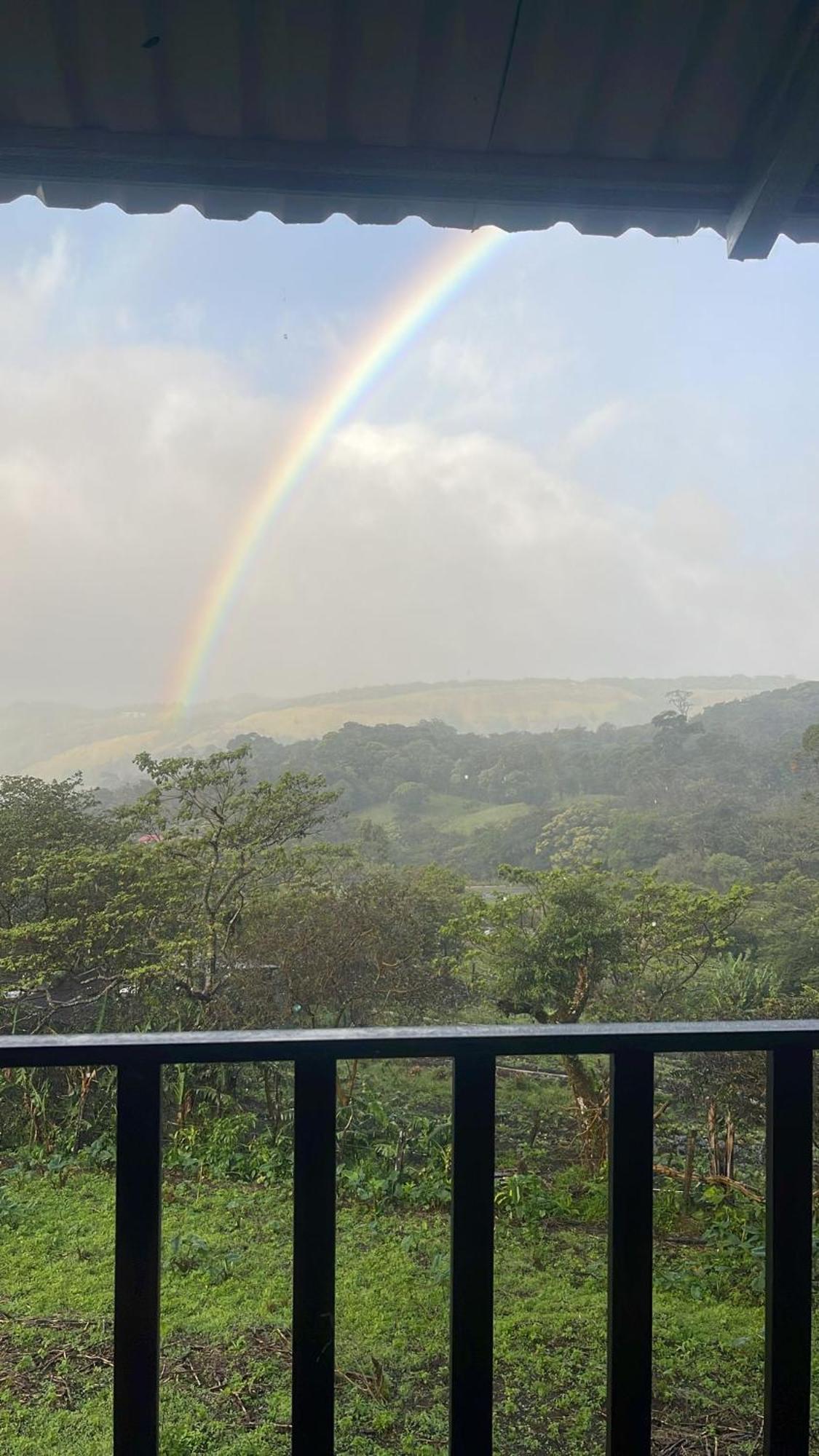 Monteverde Cecropia Paradise חדר תמונה